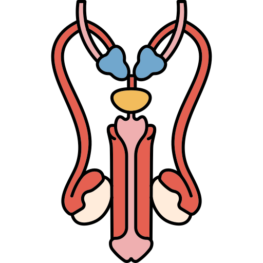 Penile Cancer treatment in Ahmedabad