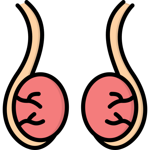 Testicular Cancer Treatment in Ahmedabad