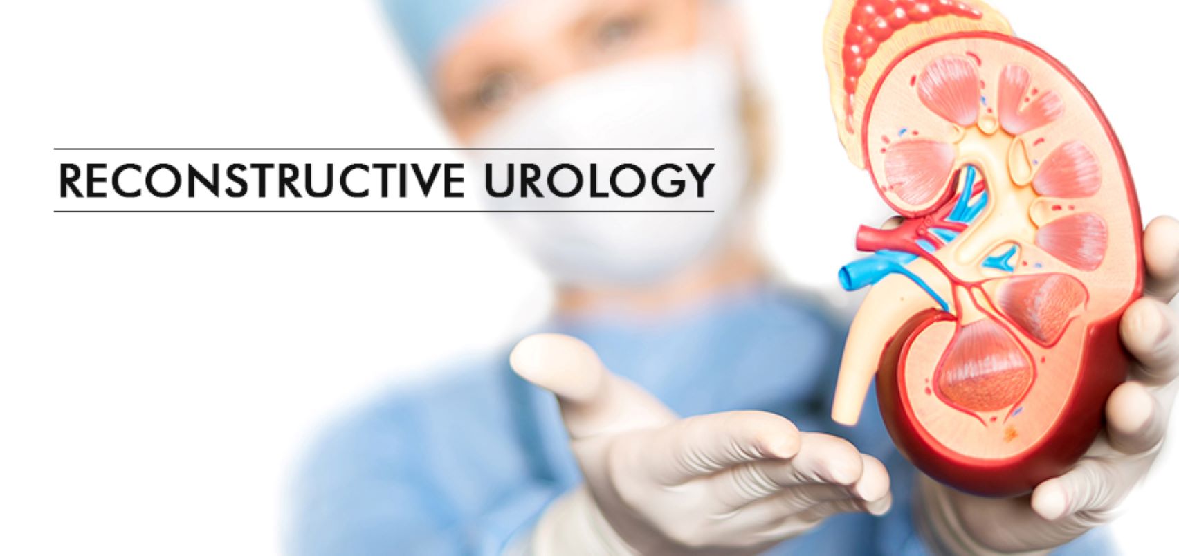 Reconstructive Urology