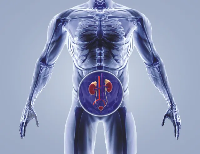 What is Male Urology